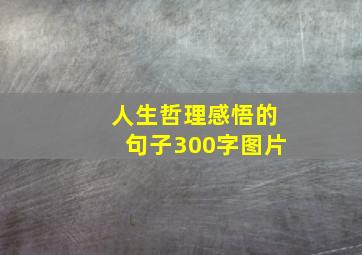 人生哲理感悟的句子300字图片