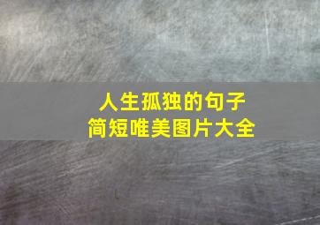 人生孤独的句子简短唯美图片大全