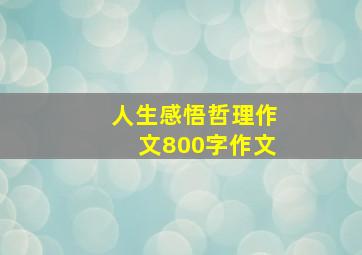 人生感悟哲理作文800字作文