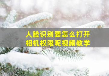 人脸识别要怎么打开相机权限呢视频教学