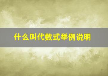 什么叫代数式举例说明