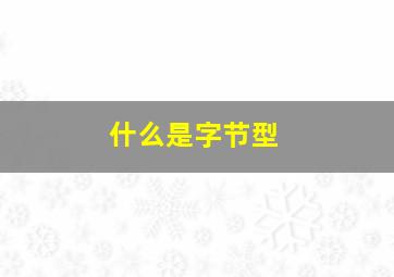 什么是字节型