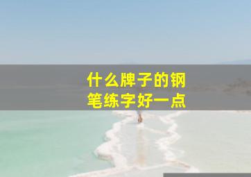 什么牌子的钢笔练字好一点