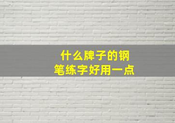 什么牌子的钢笔练字好用一点