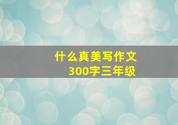 什么真美写作文300字三年级