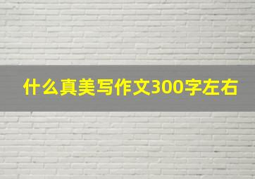 什么真美写作文300字左右