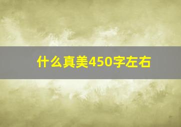 什么真美450字左右