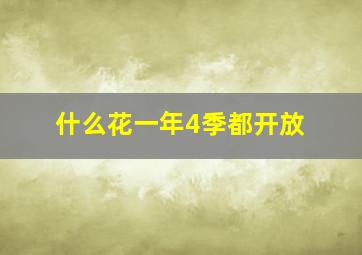 什么花一年4季都开放