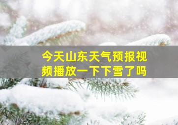 今天山东天气预报视频播放一下下雪了吗