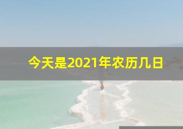 今天是2021年农历几日