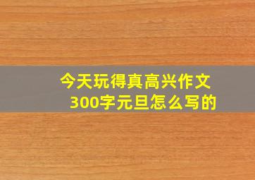 今天玩得真高兴作文300字元旦怎么写的