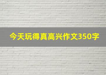 今天玩得真高兴作文350字