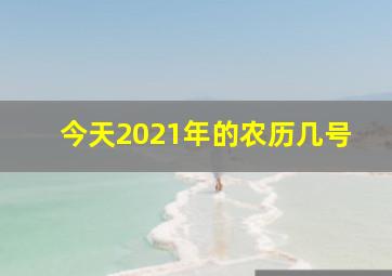 今天2021年的农历几号