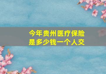 今年贵州医疗保险是多少钱一个人交