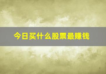 今日买什么股票最赚钱