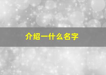 介绍一什么名字