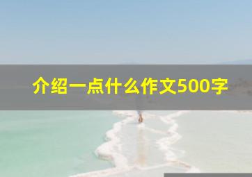 介绍一点什么作文500字