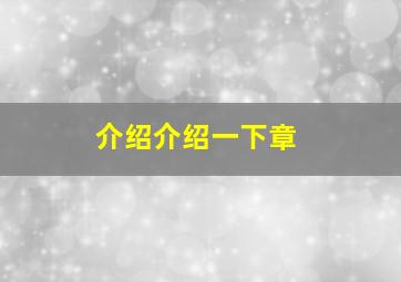 介绍介绍一下章