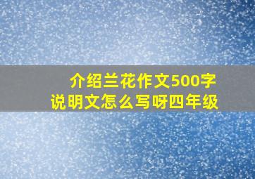 介绍兰花作文500字说明文怎么写呀四年级