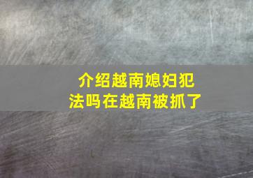 介绍越南媳妇犯法吗在越南被抓了