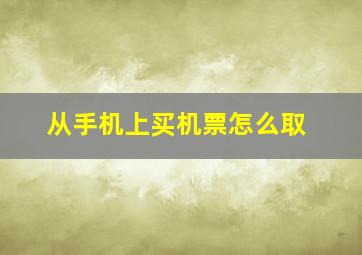 从手机上买机票怎么取