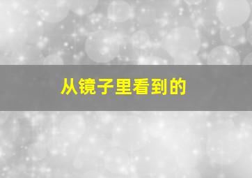 从镜子里看到的