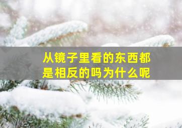 从镜子里看的东西都是相反的吗为什么呢