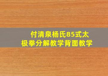 付清泉杨氏85式太极拳分解教学背面教学