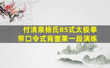 付清泉杨氏85式太极拳带口令式背面第一段演练