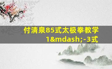 付清泉85式太极拳教学1—-3式