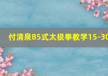 付清泉85式太极拳教学15-30