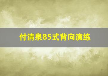 付清泉85式背向演练