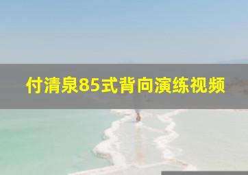 付清泉85式背向演练视频