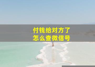 付钱给对方了怎么查微信号