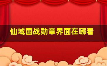 仙域国战勋章界面在哪看