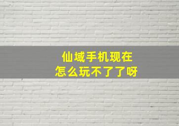 仙域手机现在怎么玩不了了呀