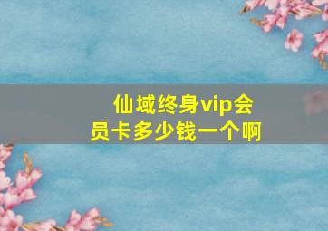 仙域终身vip会员卡多少钱一个啊