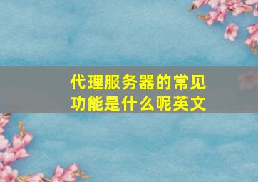 代理服务器的常见功能是什么呢英文