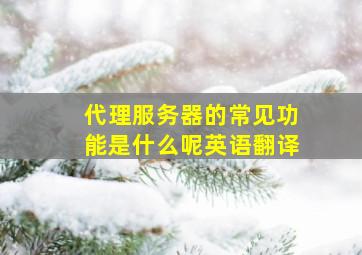 代理服务器的常见功能是什么呢英语翻译