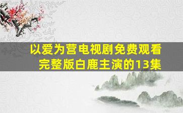 以爱为营电视剧免费观看完整版白鹿主演的13集