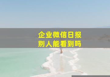 企业微信日报别人能看到吗