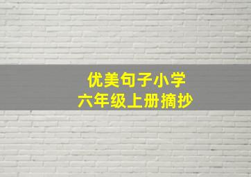 优美句子小学六年级上册摘抄