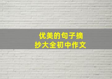 优美的句子摘抄大全初中作文