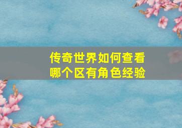 传奇世界如何查看哪个区有角色经验