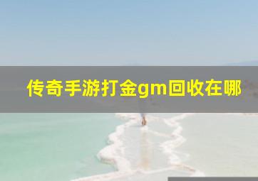 传奇手游打金gm回收在哪