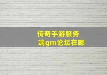 传奇手游服务端gm论坛在哪