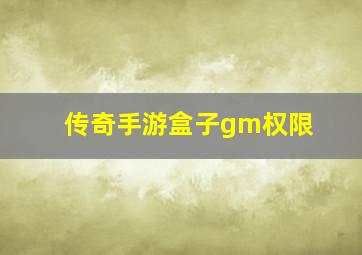 传奇手游盒子gm权限