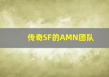 传奇SF的AMN团队