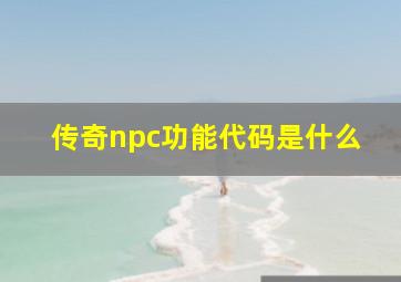 传奇npc功能代码是什么