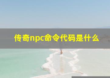 传奇npc命令代码是什么